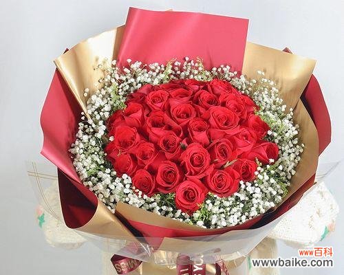 传递爱意的花语之道 浪漫的玫瑰花语——送女朋友11朵玫瑰花代表的含义