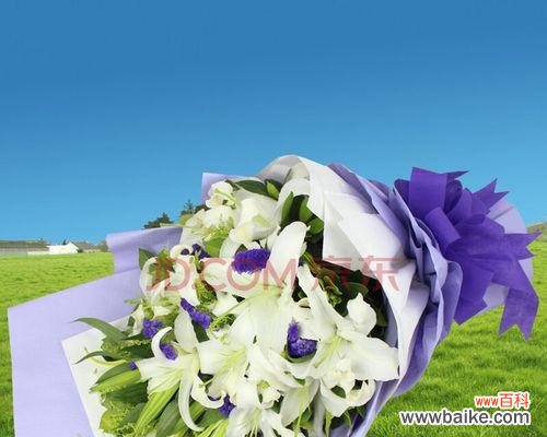 探寻百合花背后的情感寓意 送人百合花的深刻意义