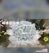 一朵冰蓝的玫瑰，传递的情感和寓意 解读碎冰蓝玫瑰的花语与寓意
