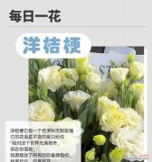 多瓣洋桔梗的花语代表什么含义？