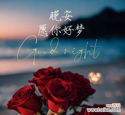 晚安在花语中代表什么？哪种花的花语是晚安？