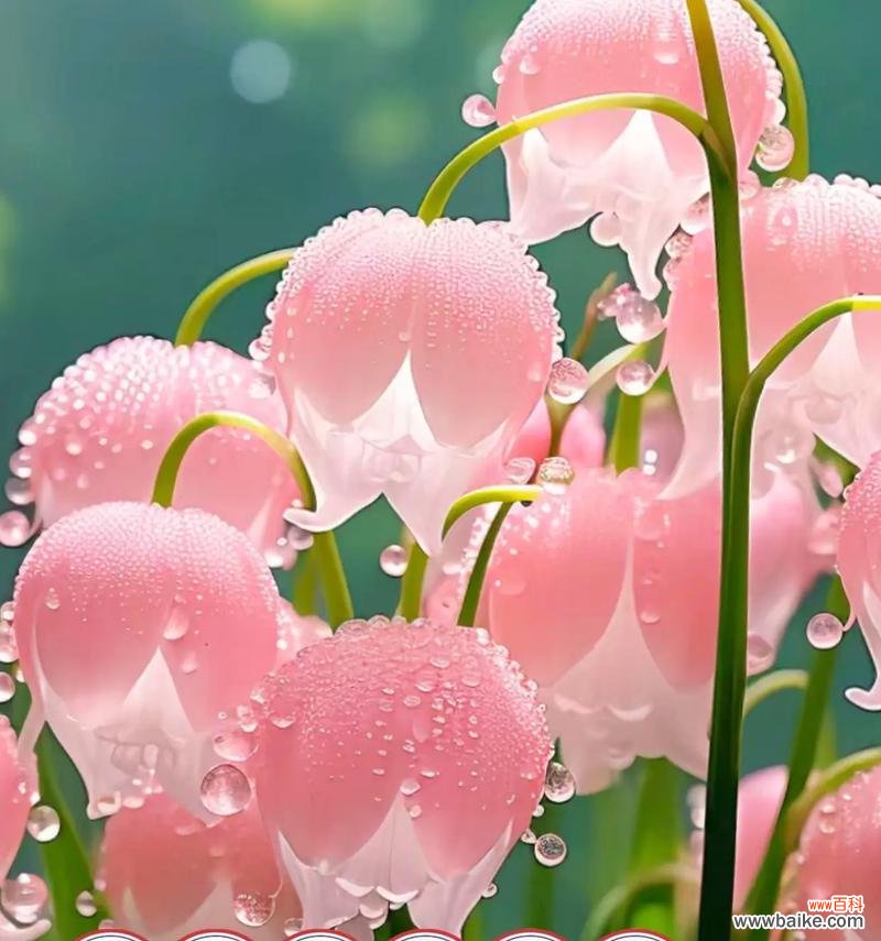 小样香水的花语是什么?送给闺蜜香水有何寓意?