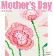 粉色安娜的花语代表什么？