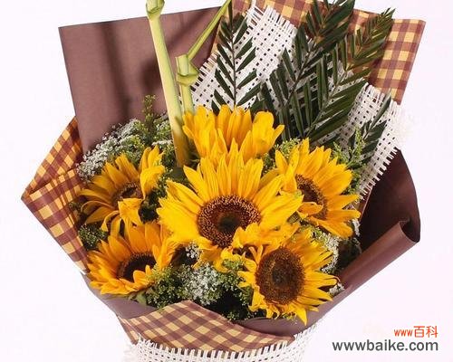 跨年送花哪种花语好听又简单？有何推荐？