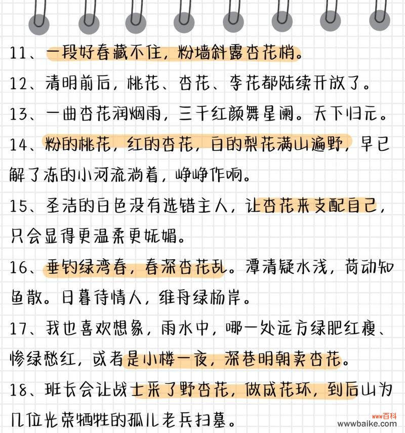 杏花的花语代表什么含义？