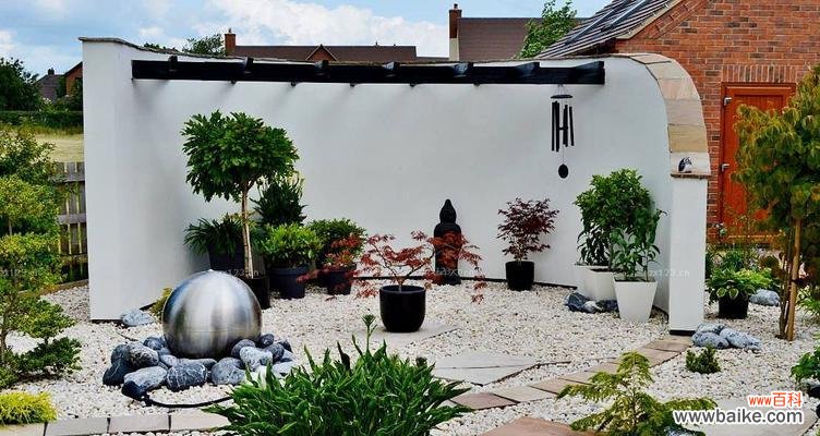 花语梦情代表什么?花语梦情的含义是什么?