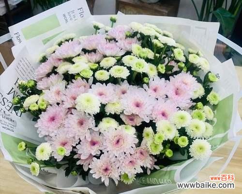 追悼会上致词应该用什么花语？如何用花语表达哀悼？