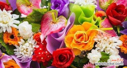 以美丽绽放，传递尊贵与优雅 高贵之美