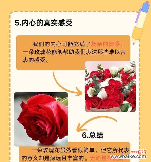 相亲时收到玫瑰花意味着什么？大爷送玫瑰花有何深意？