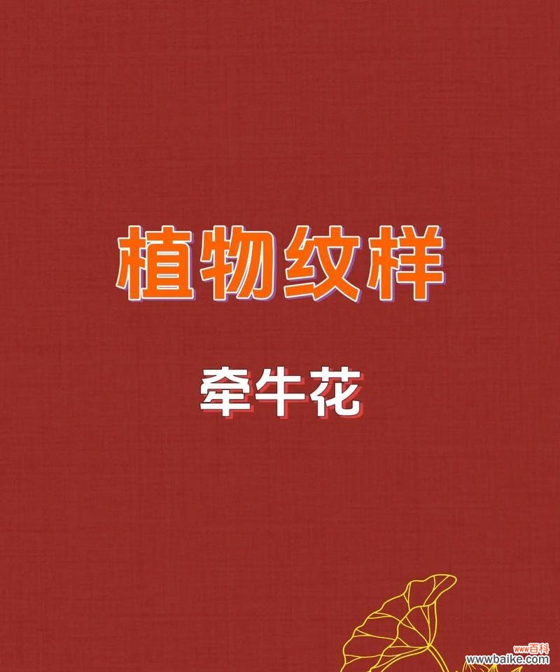夜牵牛花的花语和象征意义是什么？