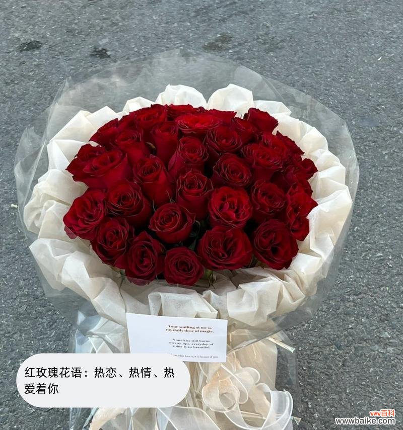 七彩玫瑰花语是什么？这种多彩的玫瑰有何寓意？