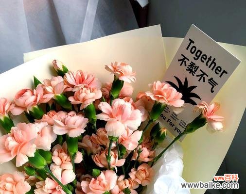 如何用花语形容女孩子的独特？