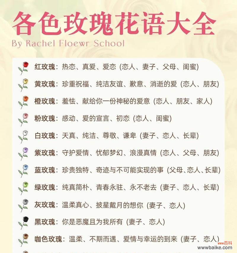 朱小姐四字玫瑰花语有何含义？它在花语中表达了什么？