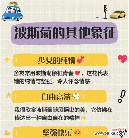 轻轻的花的花语有何深意?它传递了哪些情感?