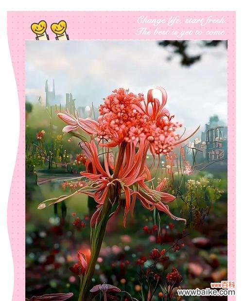 哪种花代表思念之情？