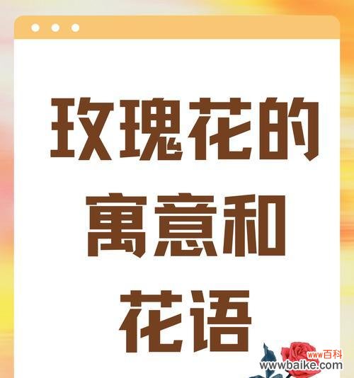 男士送鲜花代表什么爱情花语?
