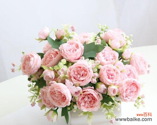 花语探秘 五朵玫瑰花的象征意义及传统文化背景