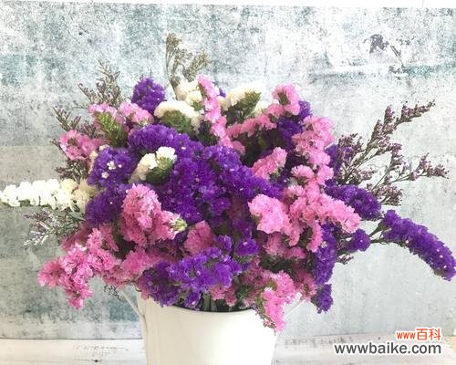 追求永恒与记忆的力量 勿忘我花的寓意是什么？