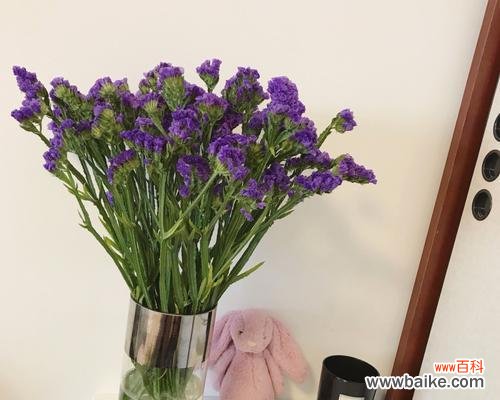 美丽坚韧，永远怀念的花朵 勿忘我花的寓意及象征意义