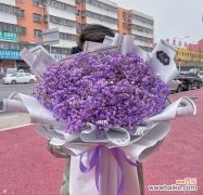 用紫色满天星传递幸福的秘密 紫色满天星花语与幸福的共鸣