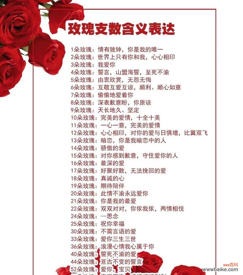 黑武士加红玫瑰花语是什么？黑红玫瑰组合有何含义？