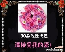 正视我的爱这个花语表达的是什么？