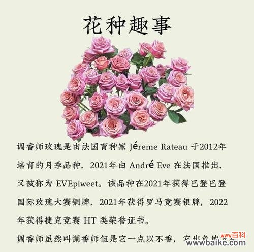 玫瑰牡丹香味代表了什么？