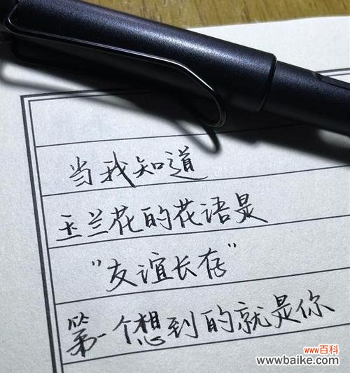 永久的友谊的花语是什么？哪种花象征着永久的友谊？