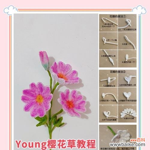 唯一的爱花语是什么树木?哪种树代表独一无二的爱?