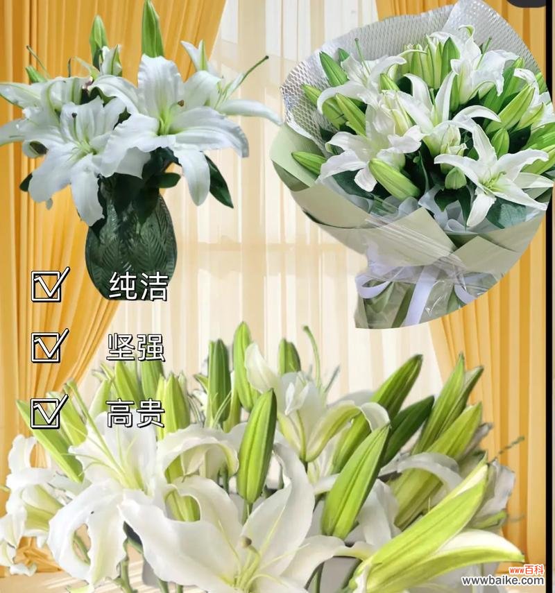 寓意与花语有何不同?