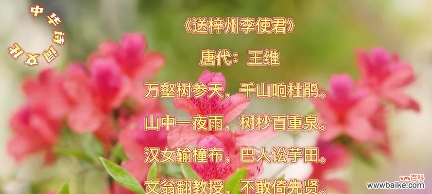 荷花和杜鹃花的花语分别是什么?