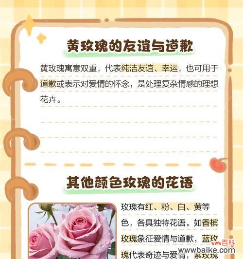 分手后送白色玫瑰花有何含义？它传达了怎样的情感？