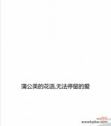 “停留原地”花语的含义是什么？