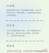 贵族偏爱的红玫瑰花语是什么？红玫瑰在贵族文化中的含义是什么？