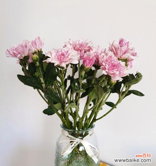 鲜切花的含义与种类,切割技术与注意事项 以鲜切花什么意思——揭开花卉切割的奥秘