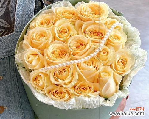 品味爱情之美，探寻香槟玫瑰的含义和传承 香槟玫瑰