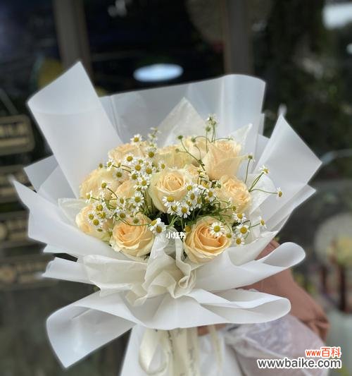 探究香槟玫瑰的寓意及其文化背景 香槟玫瑰的含义与象征