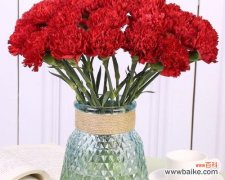 收红包的花语是什么意思？它象征着什么？