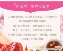 天使蜜语玫瑰代表了哪些情感？