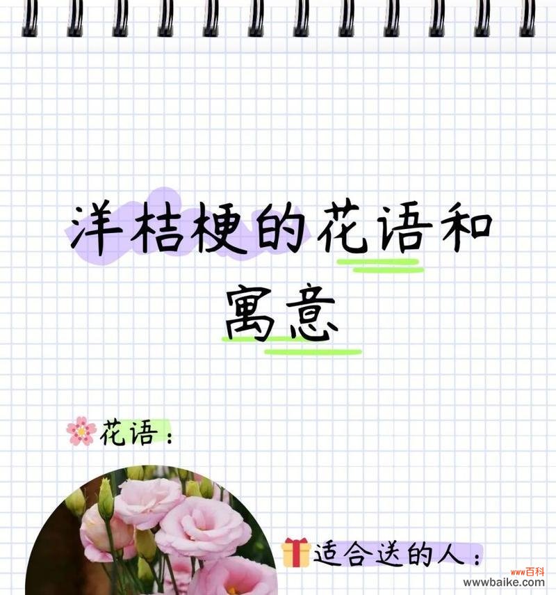 白桔梗花语代表了哪些情感？