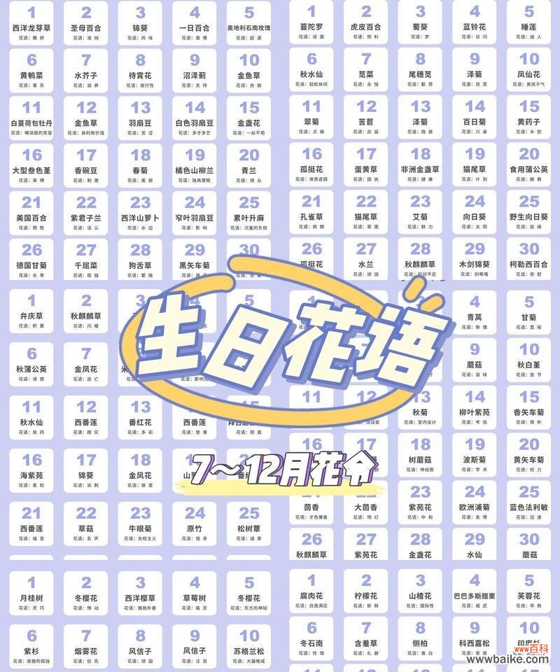 12月16日出生的人的生日花语是什么?