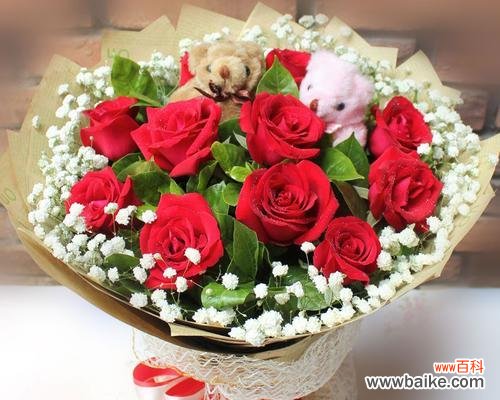 女朋友送玫瑰花应该选择哪种?不同数量的玫瑰花代表什么?