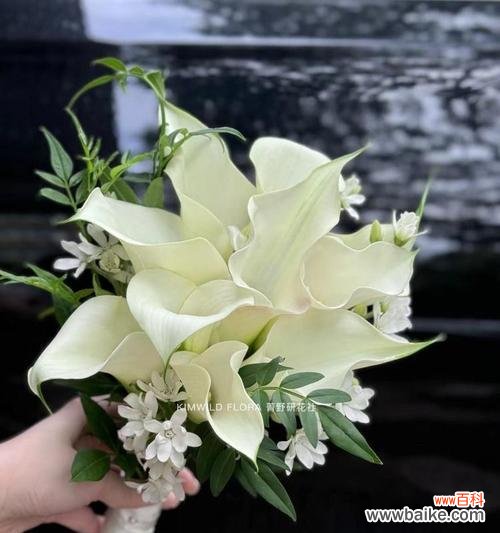 手捧花的花语选择有什么讲究？如何挑选适合的手捧花花语？