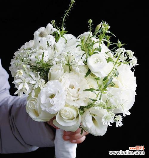 手捧花的花语选择有什么讲究？如何挑选适合的手捧花花语？