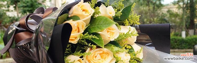 解读香槟玫瑰的花语,传达高贵与浪漫 香槟玫瑰花语