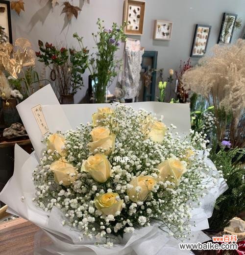 探寻香槟玫瑰的秘密,解读花语的深意 以香槟玫瑰为主题的花语与寓意