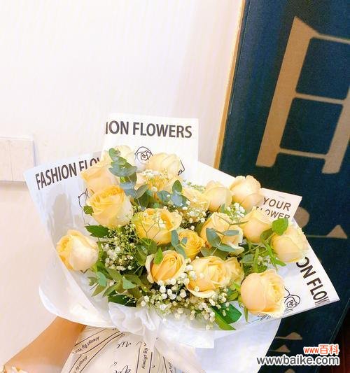 探索香槟玫瑰的美丽与寓意 香槟玫瑰的象征意义及文化传承