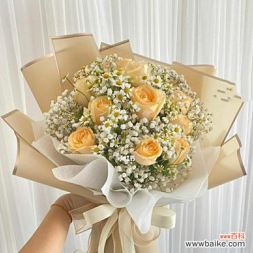 探寻香槟玫瑰独特的文化内涵与美学意蕴 香槟玫瑰的象征意义及特殊之处