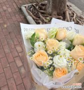 探寻香槟玫瑰独特的文化内涵与美学意蕴 香槟玫瑰的象征意义及特殊之处