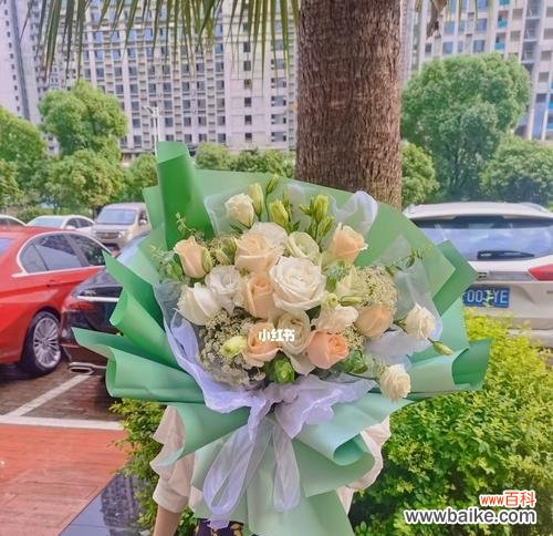 探寻香槟玫瑰独特的文化内涵与美学意蕴 香槟玫瑰的象征意义及特殊之处